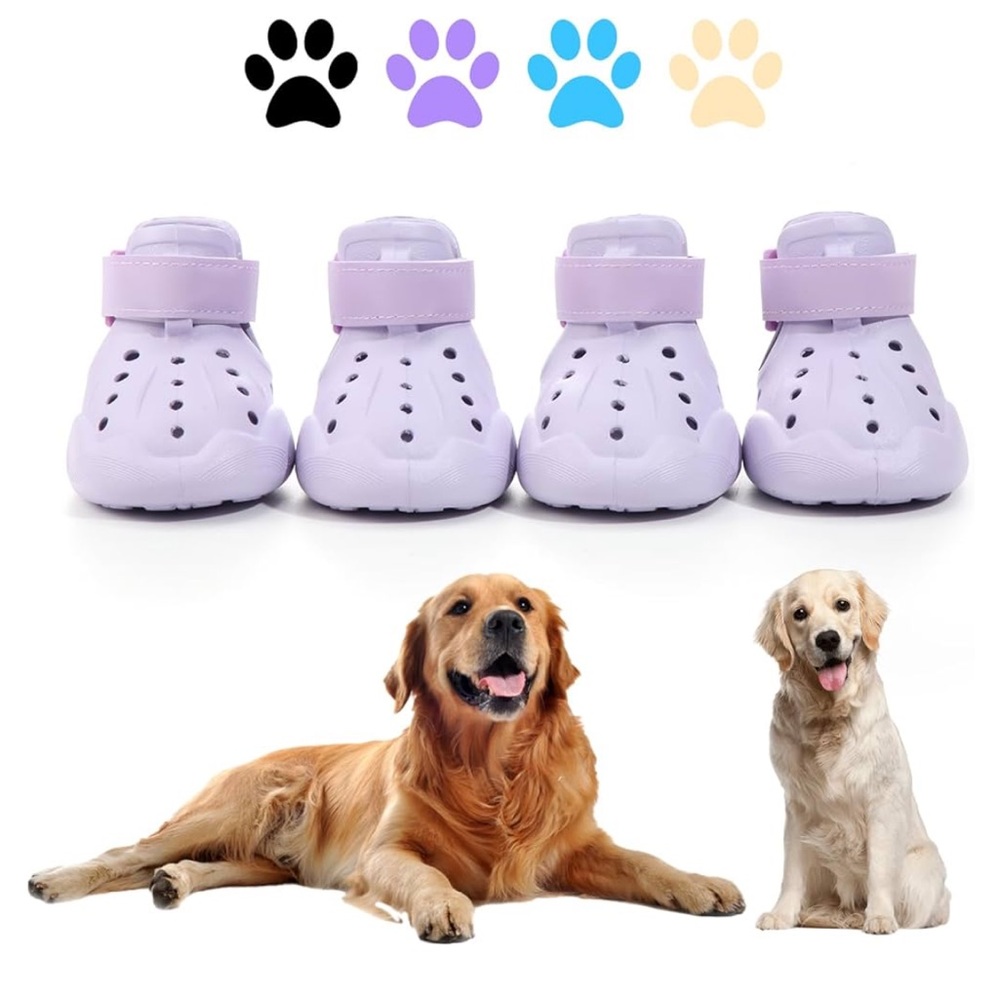 Purple Dog Sandals